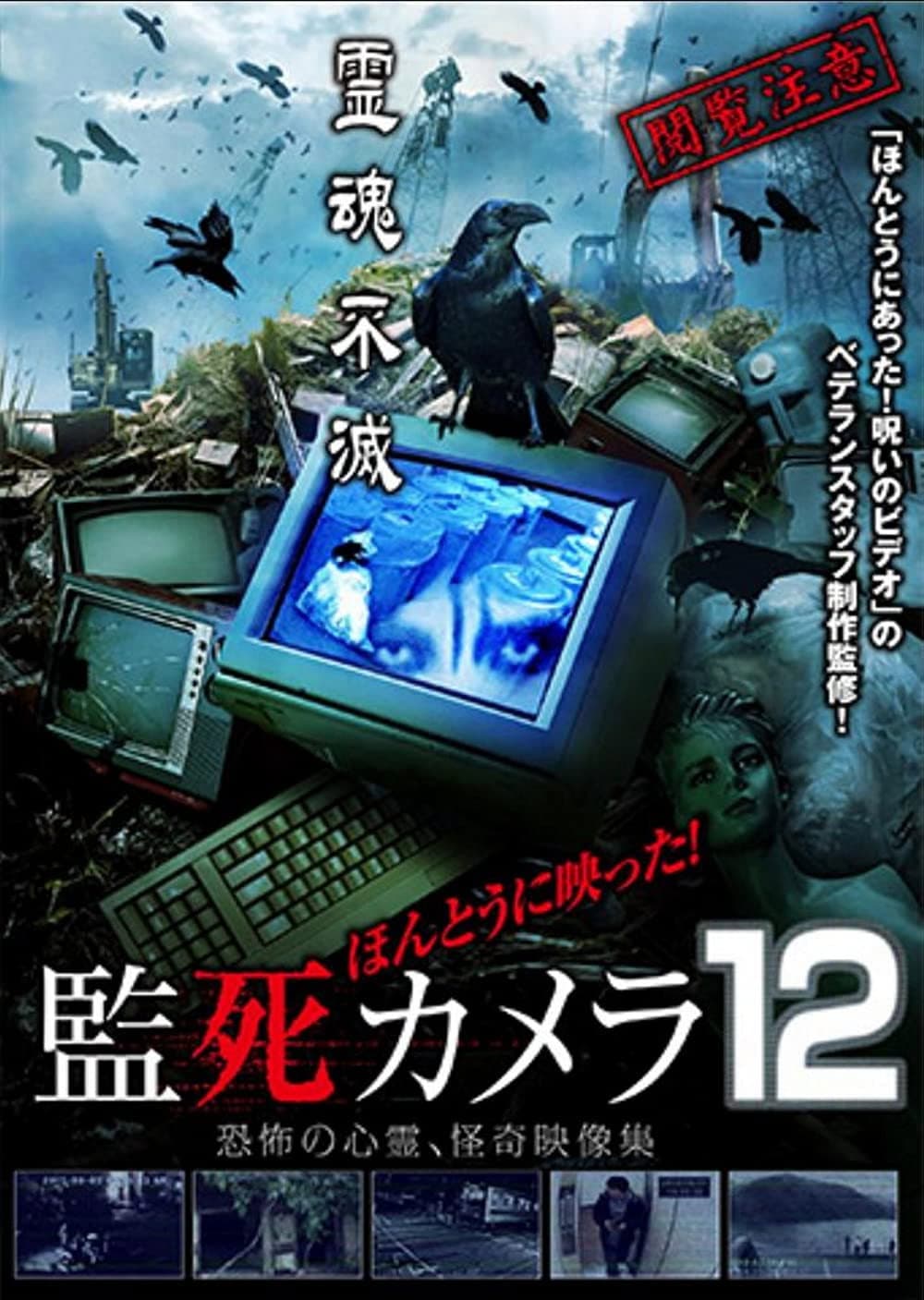 Paranormal Surveillance Camera 12 backdrop