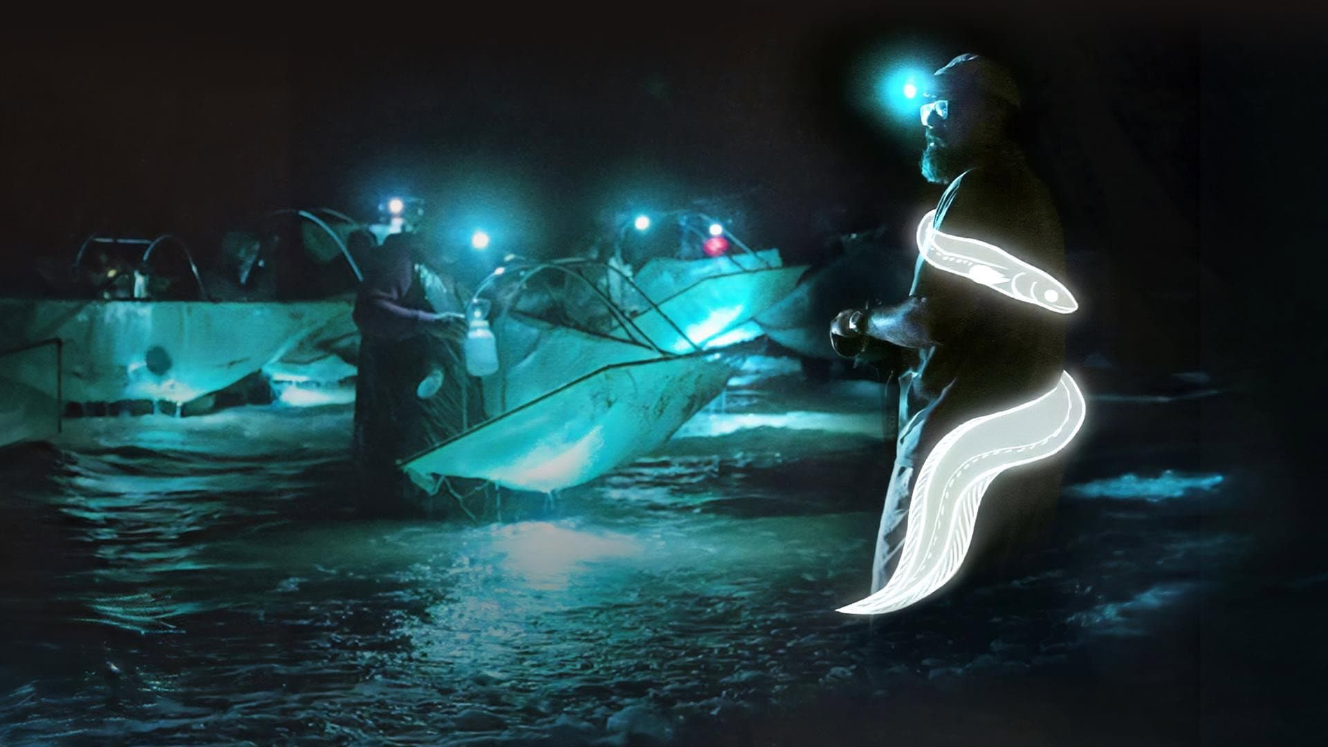 Million Dollar Babies: The Big Business Behind Eel Trafficking backdrop