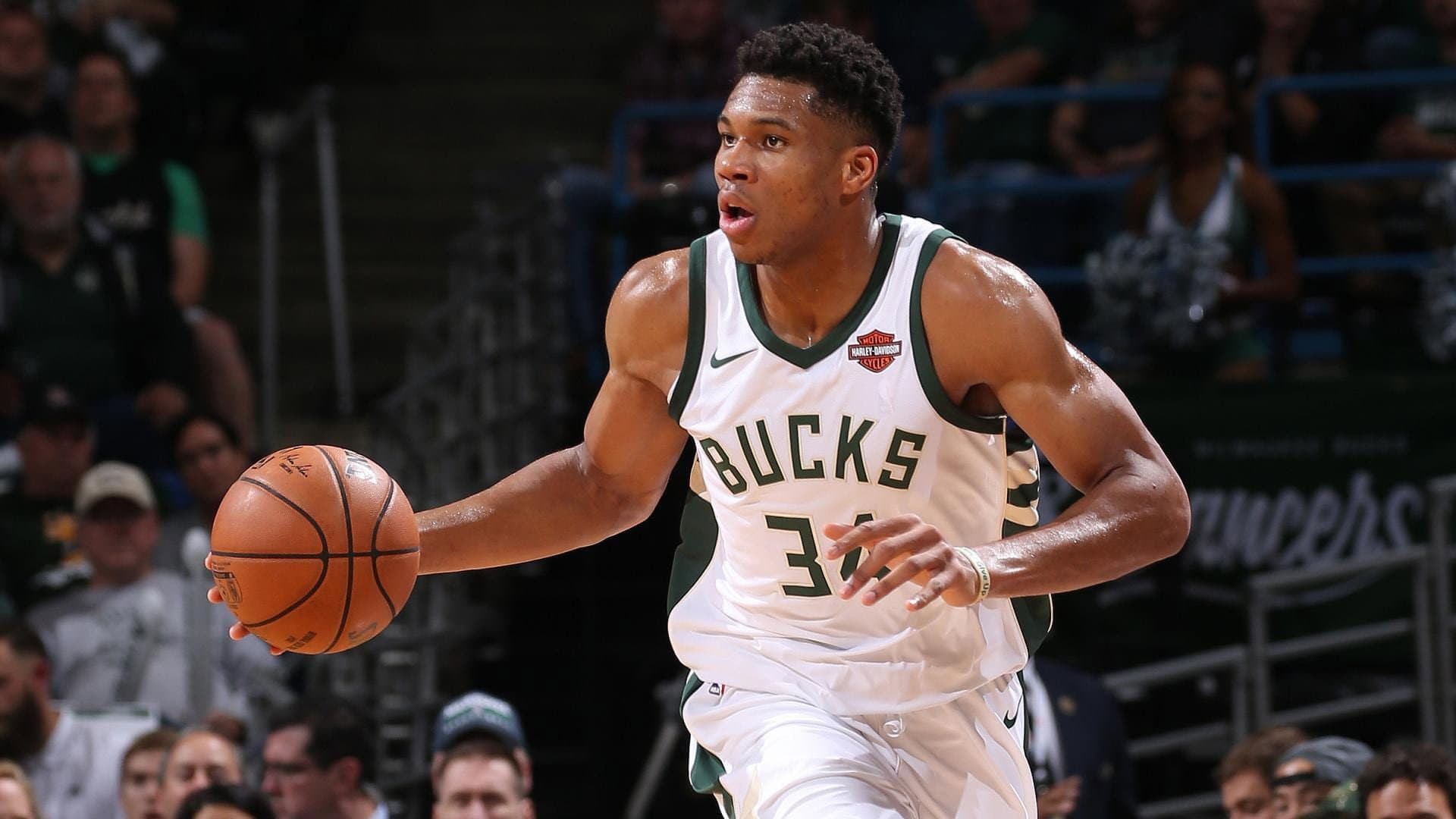 Finding Giannis backdrop