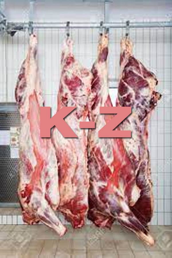 K-Z backdrop