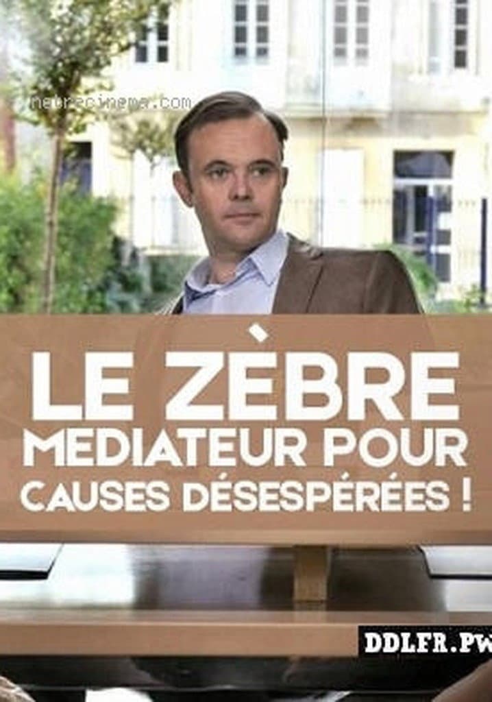 Le zèbre, médiateur pour causes désespérées ! backdrop