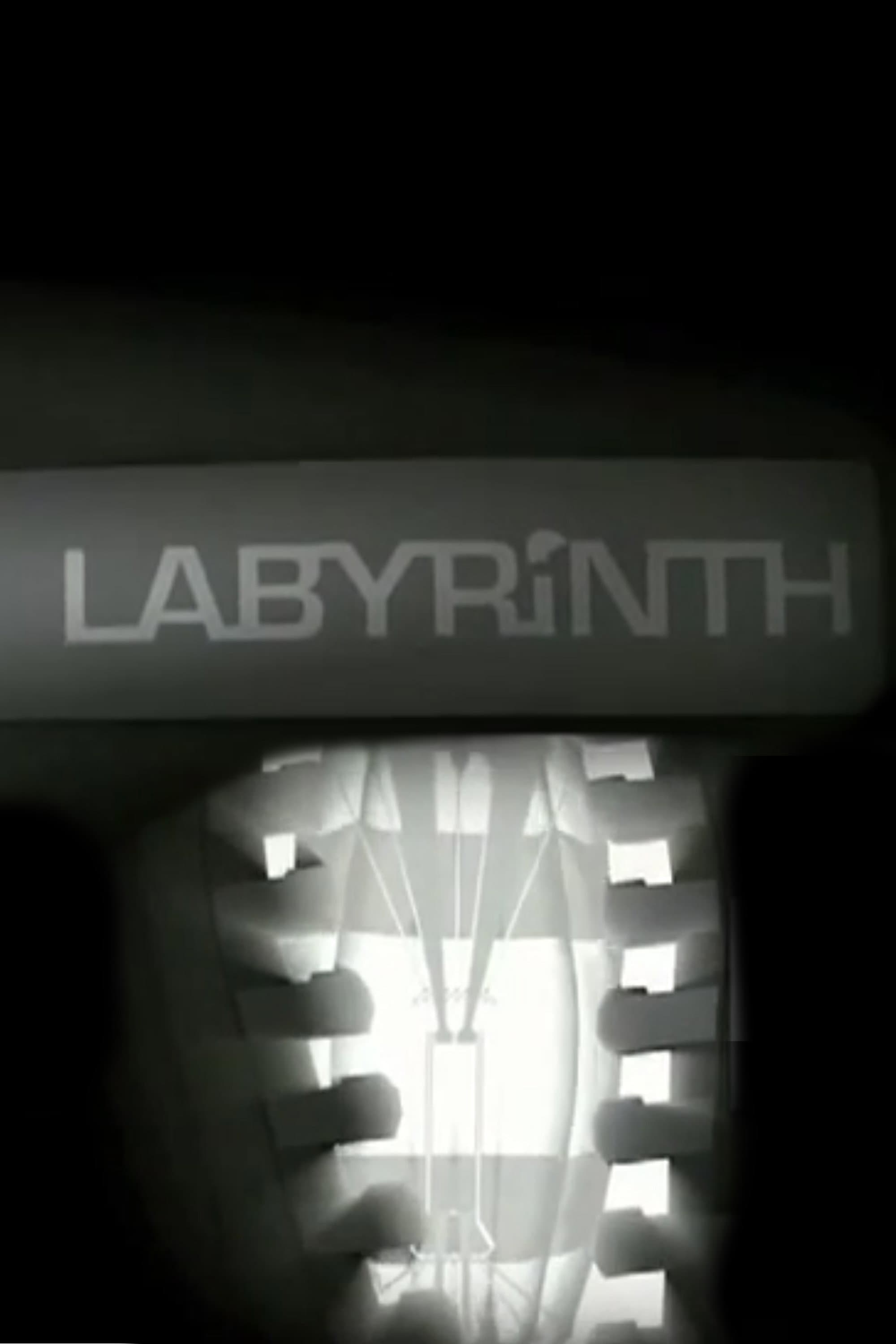 Labyrinth backdrop