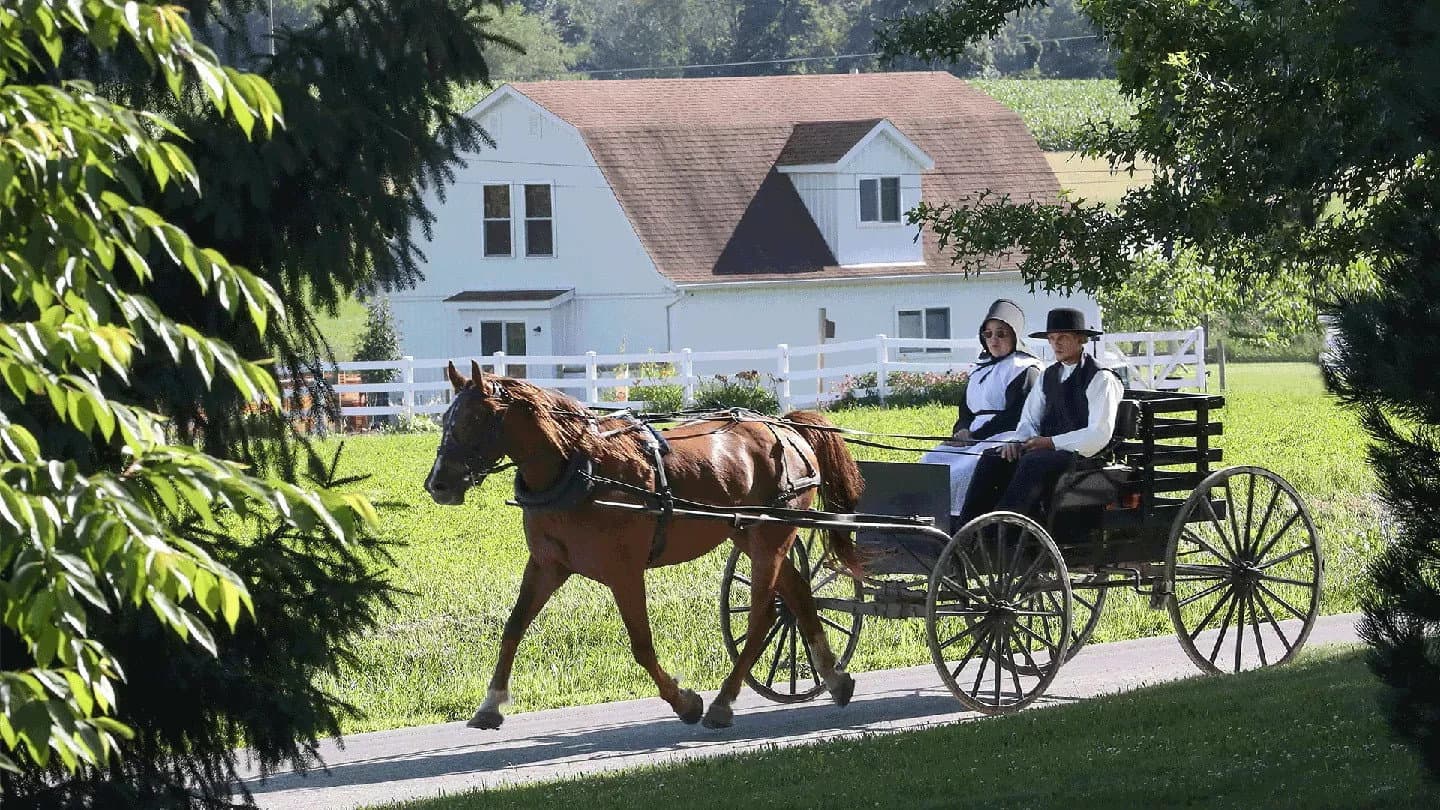 The Amish Dilemma backdrop