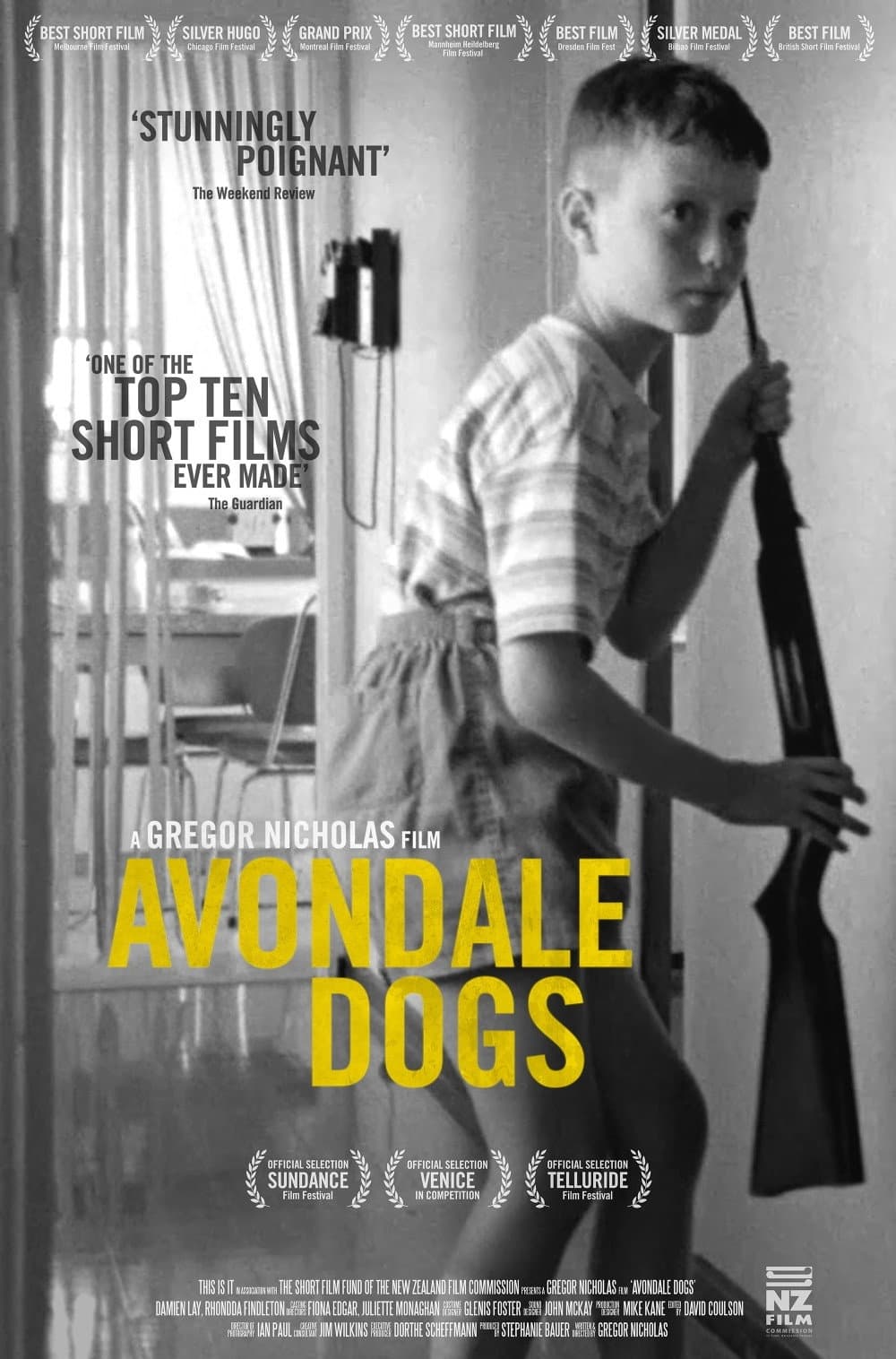 Avondale Dogs backdrop