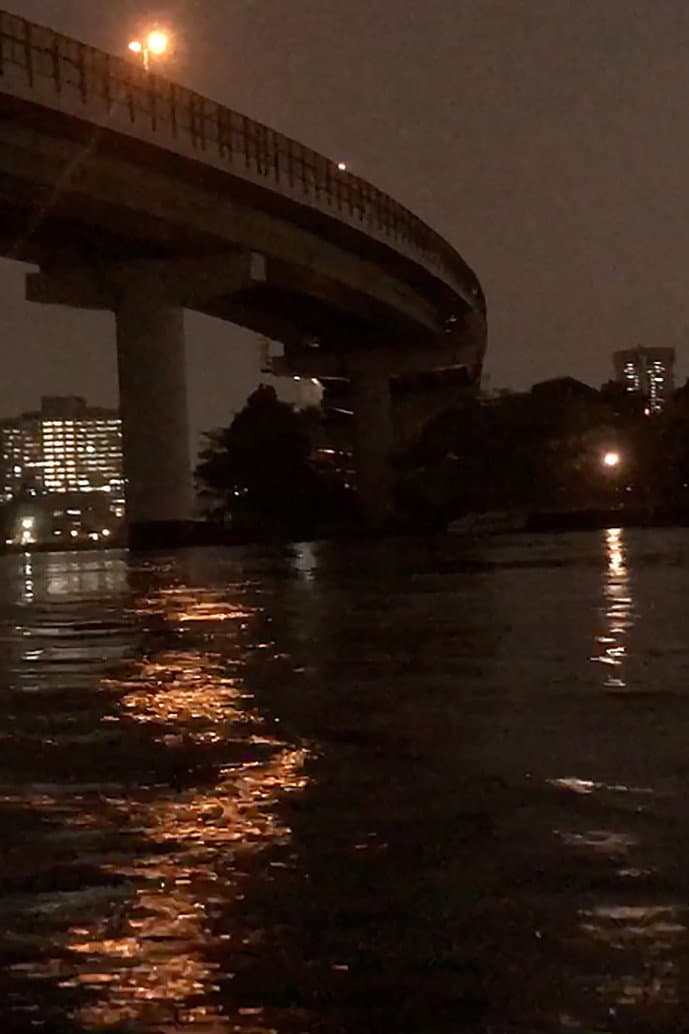 Night Cruise backdrop