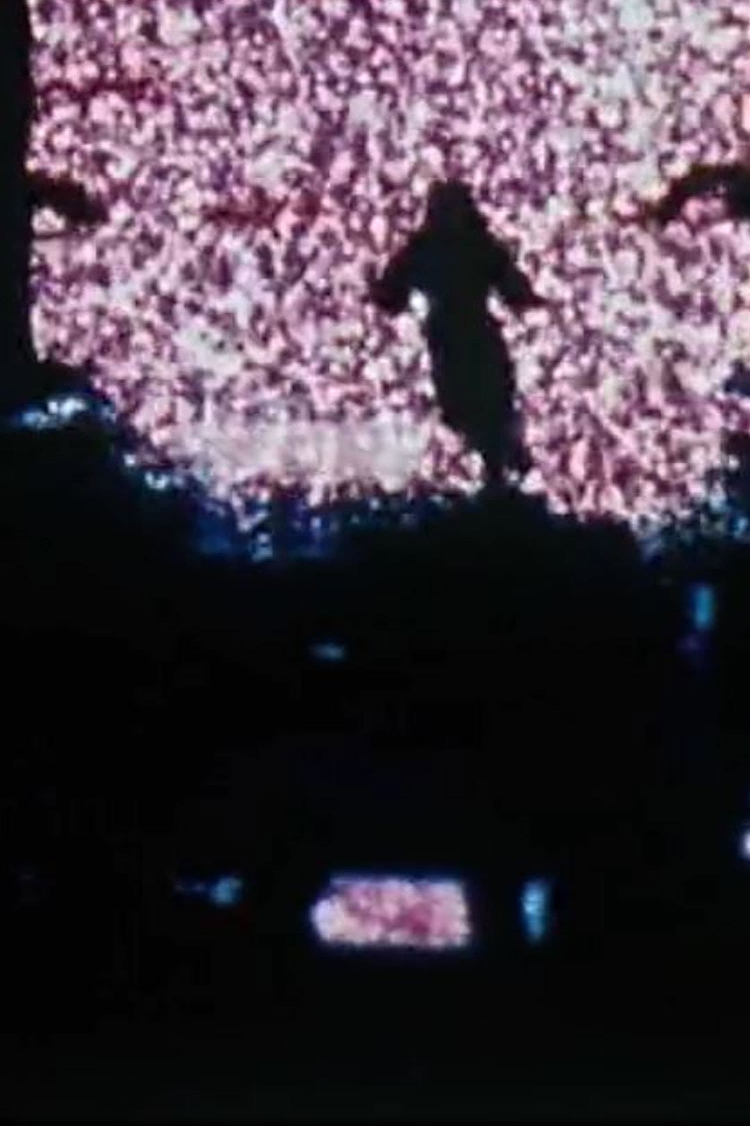 Lapse backdrop