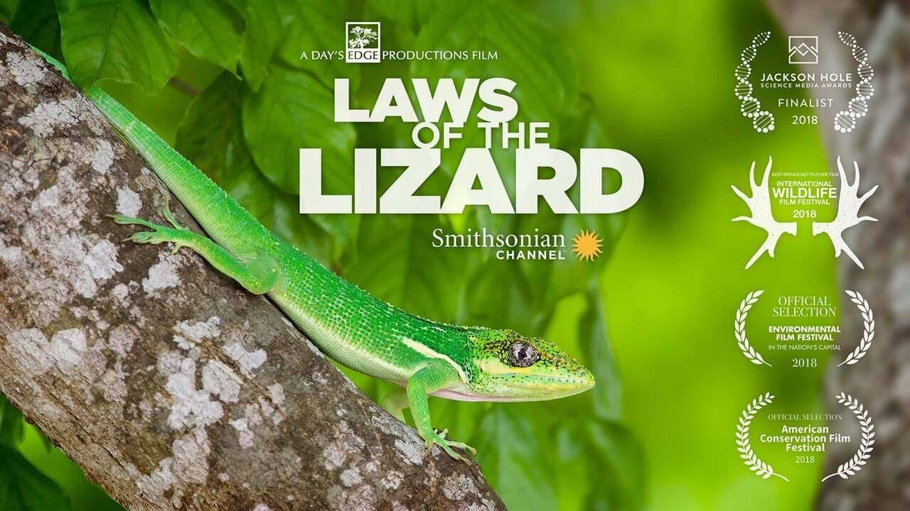 Laws of the Lizard backdrop