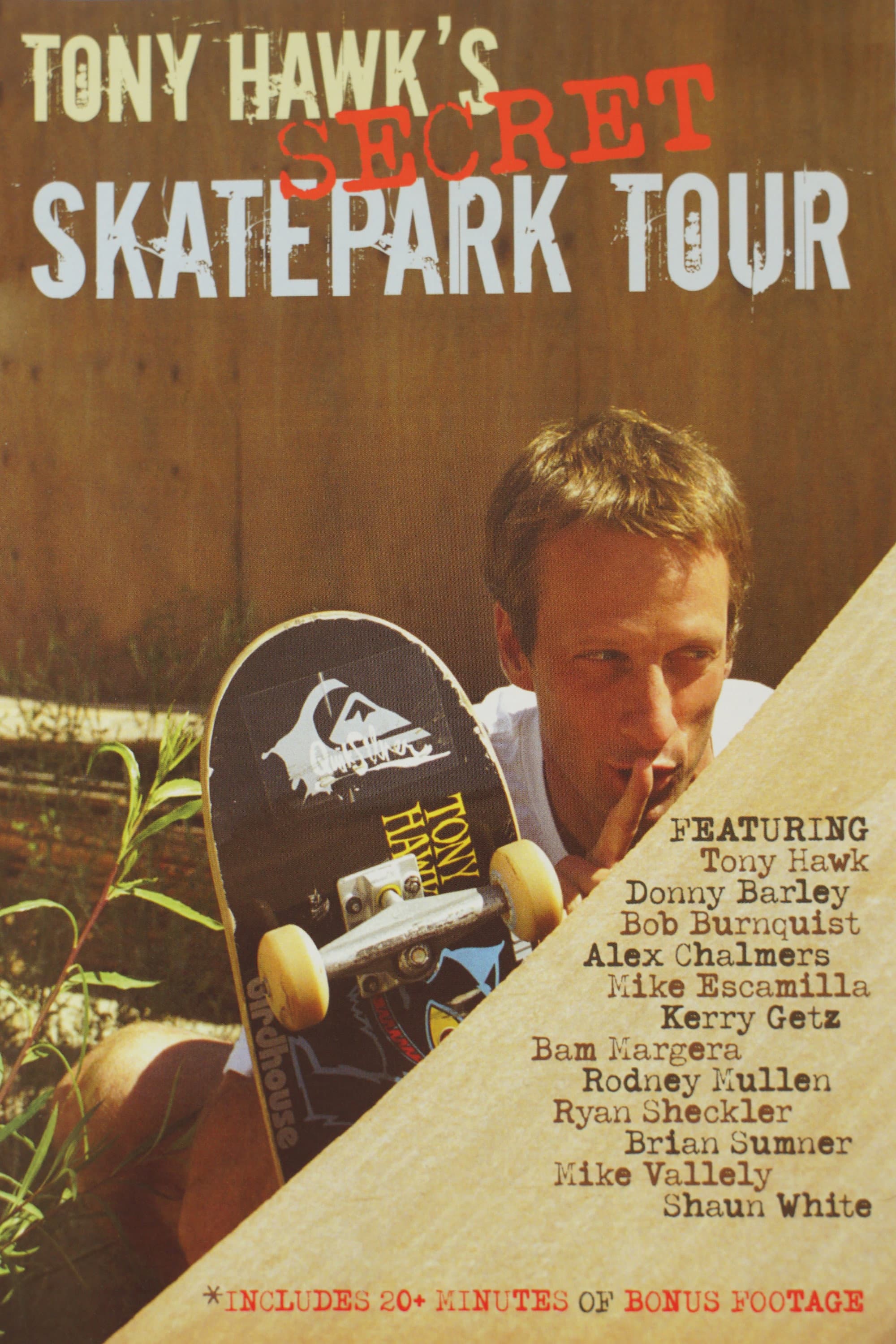 Tony Hawk's Secret Skatepark Tour backdrop