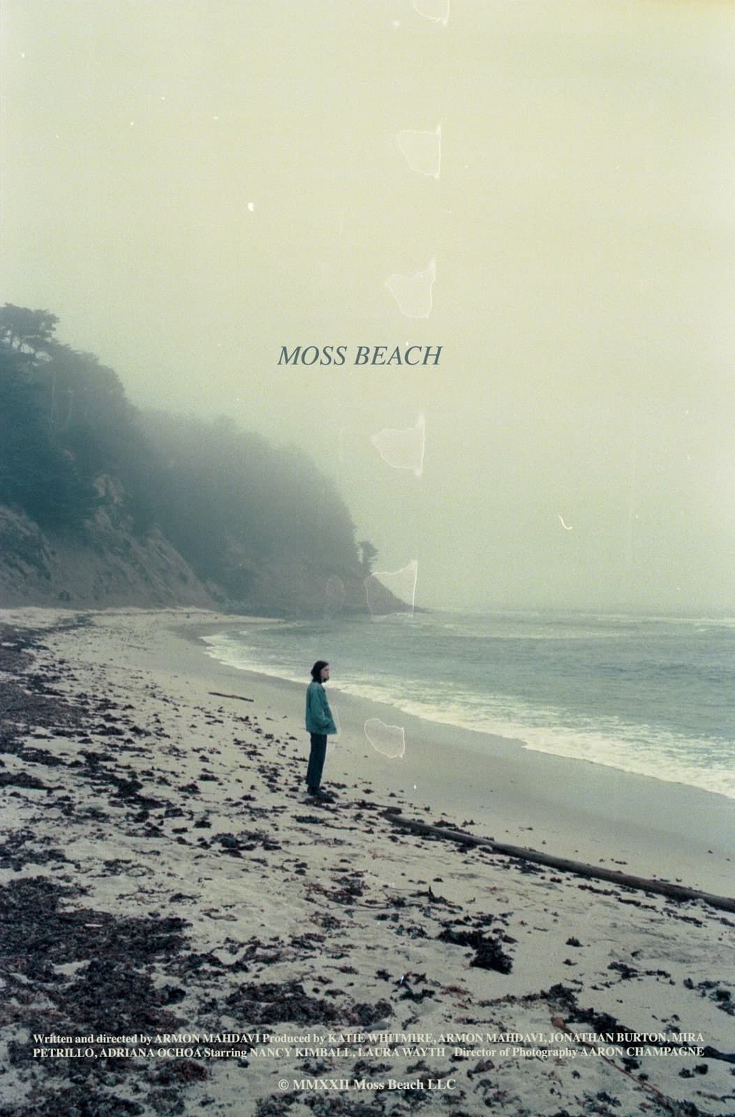 Moss Beach backdrop