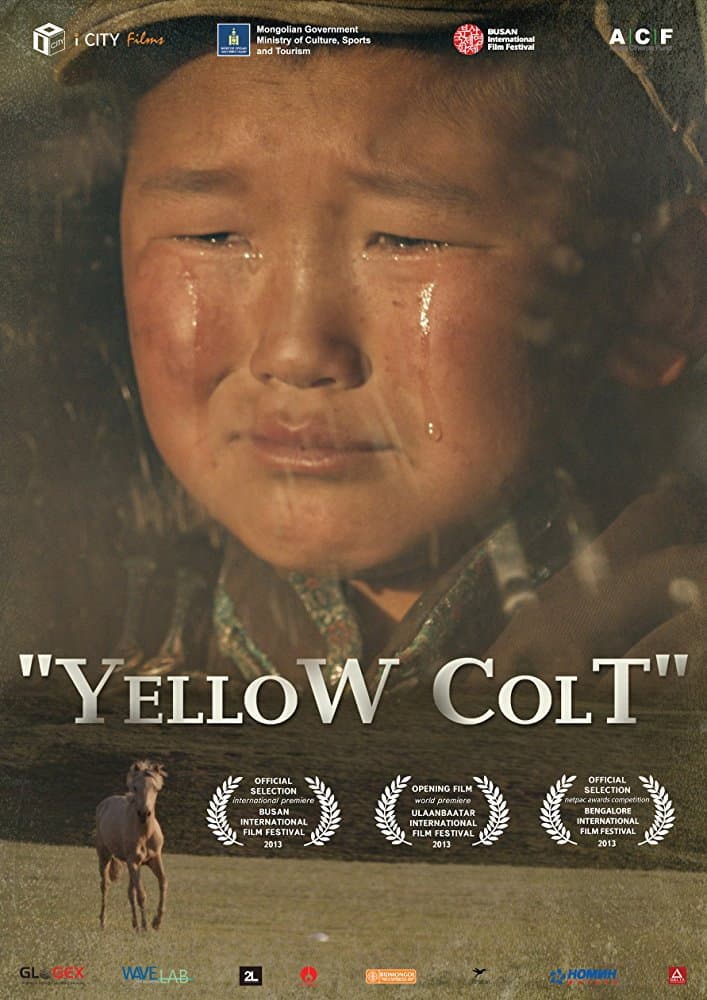 Yellow Colt backdrop