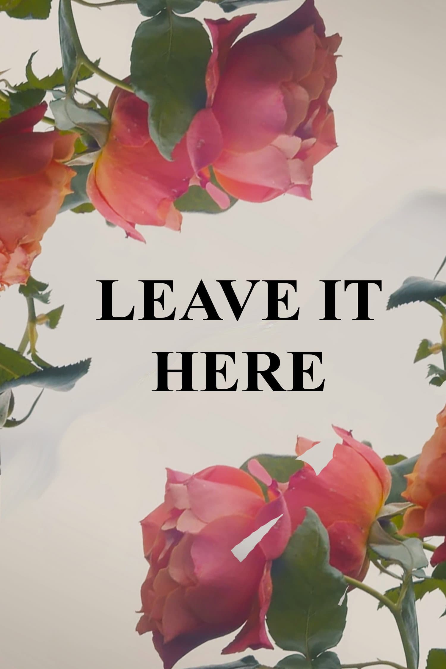 Leave It Here backdrop
