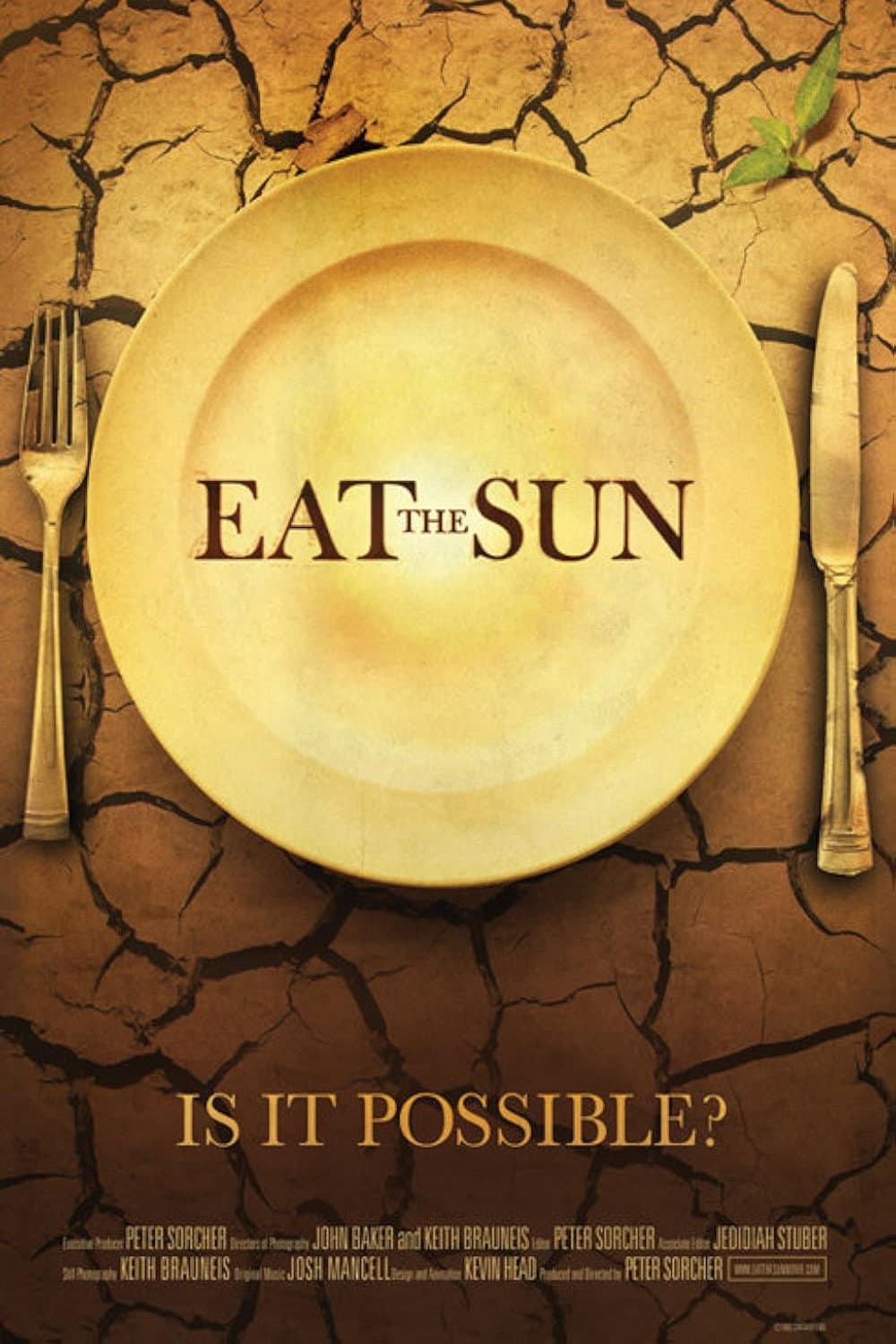 Eat The Sun backdrop