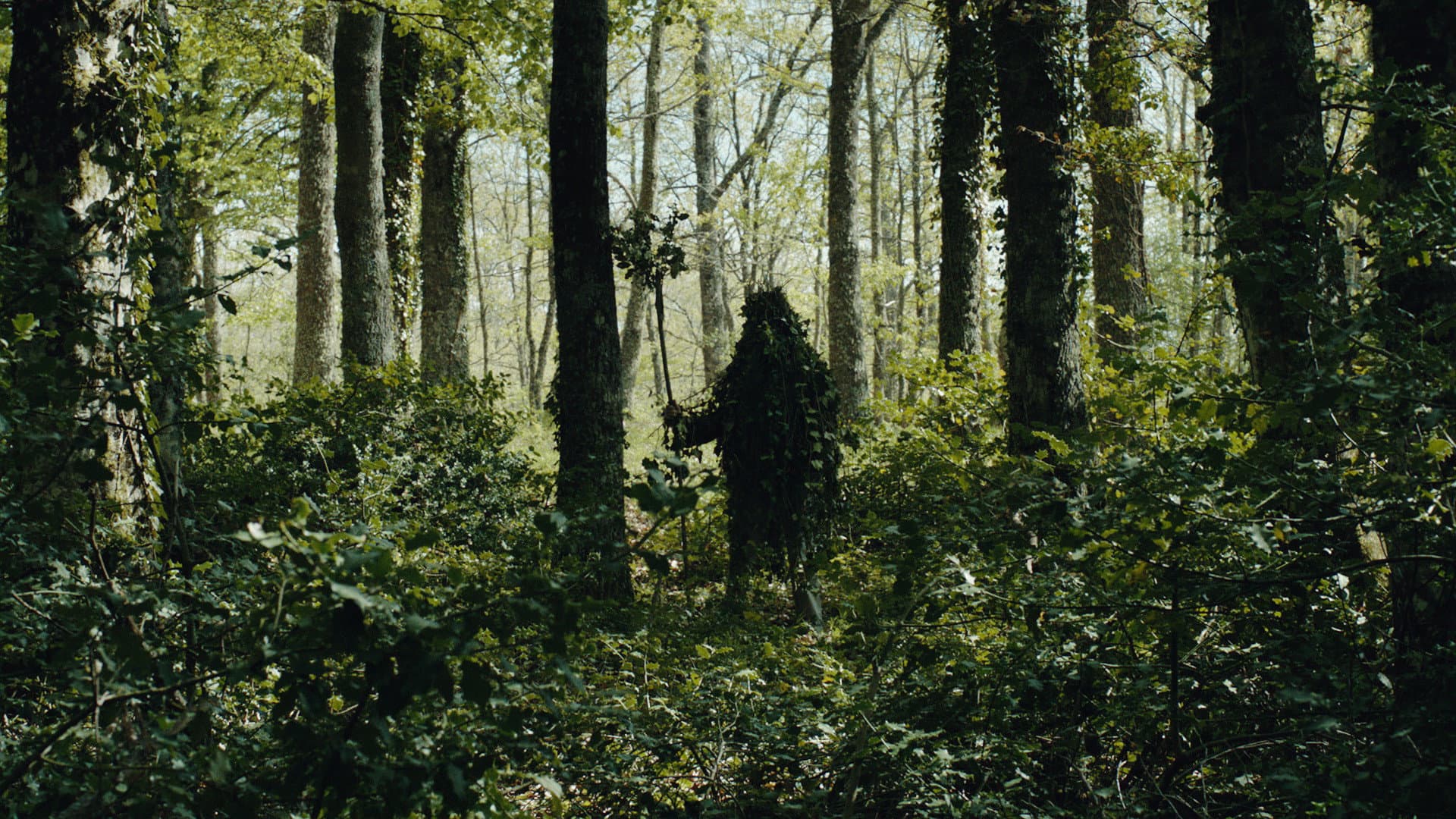 Trees backdrop