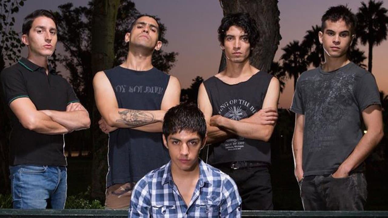 Zamudio backdrop