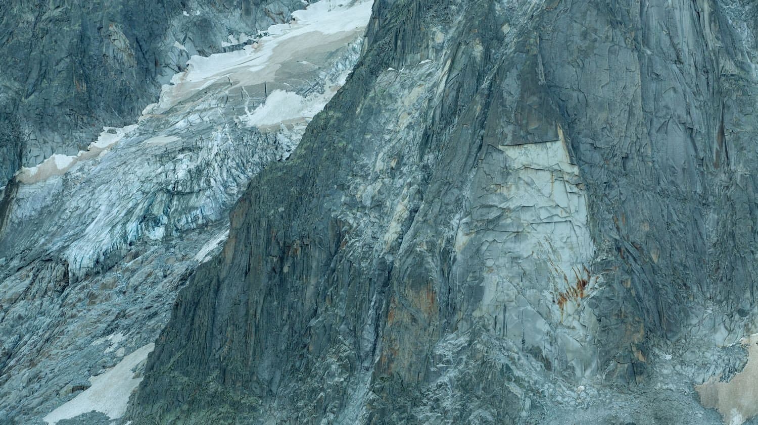 Pacheû backdrop