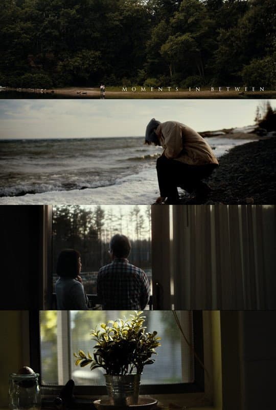 Moments In Between backdrop