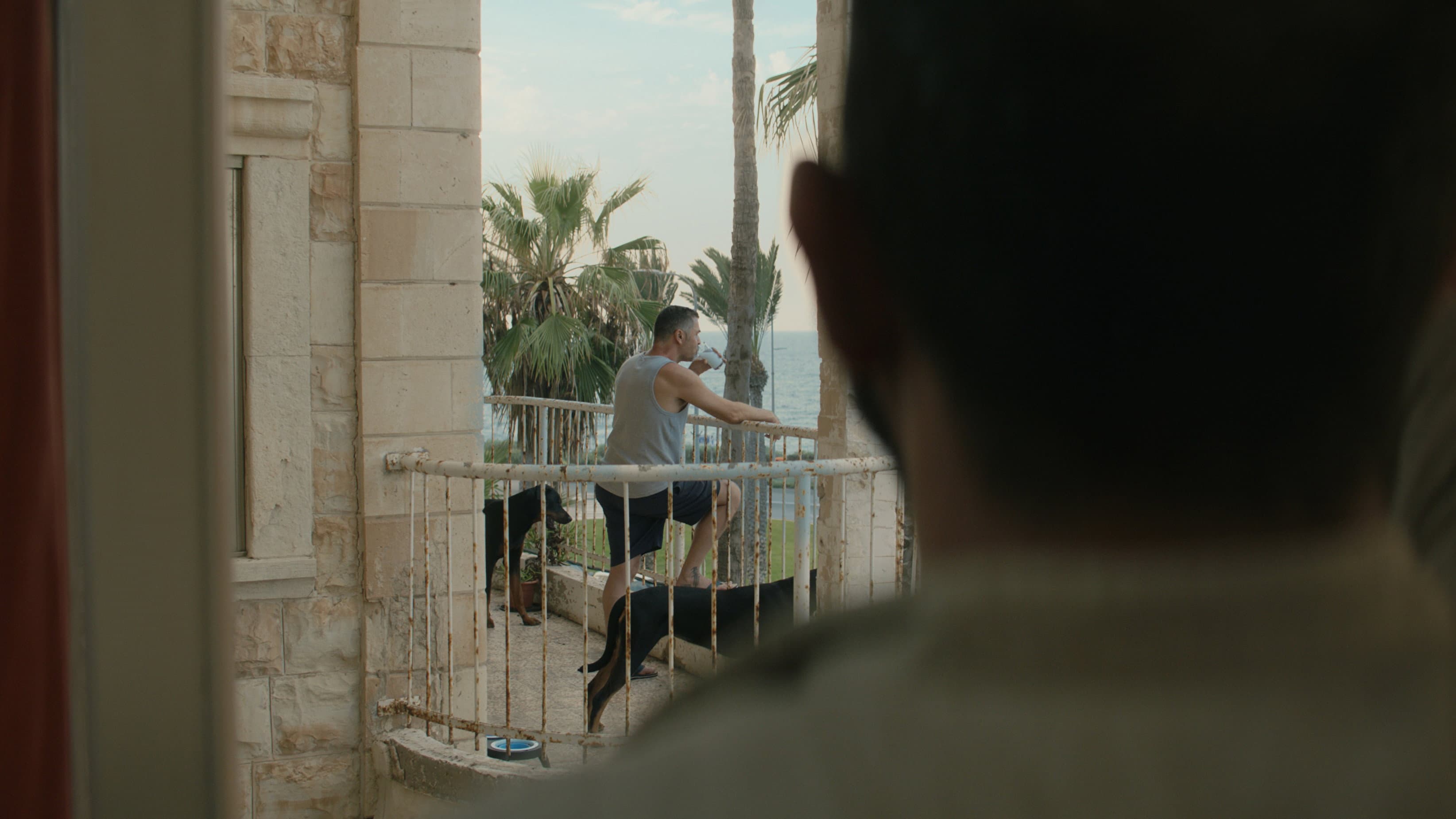 Mediterranean Fever backdrop
