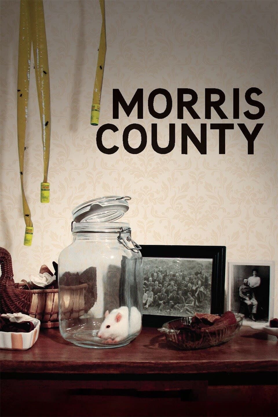 Morris County backdrop
