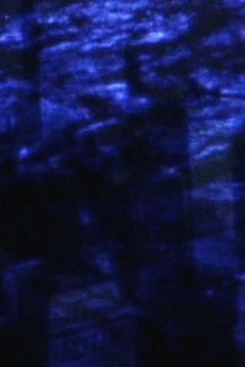 Innocence and Despair backdrop