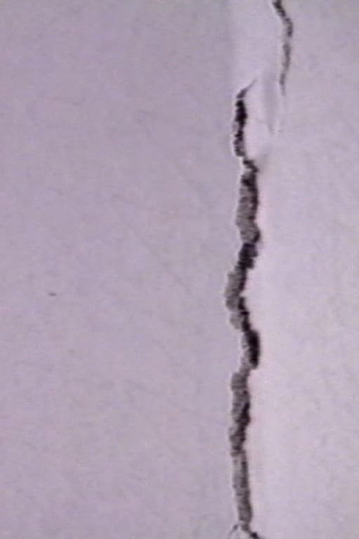 White Screen backdrop