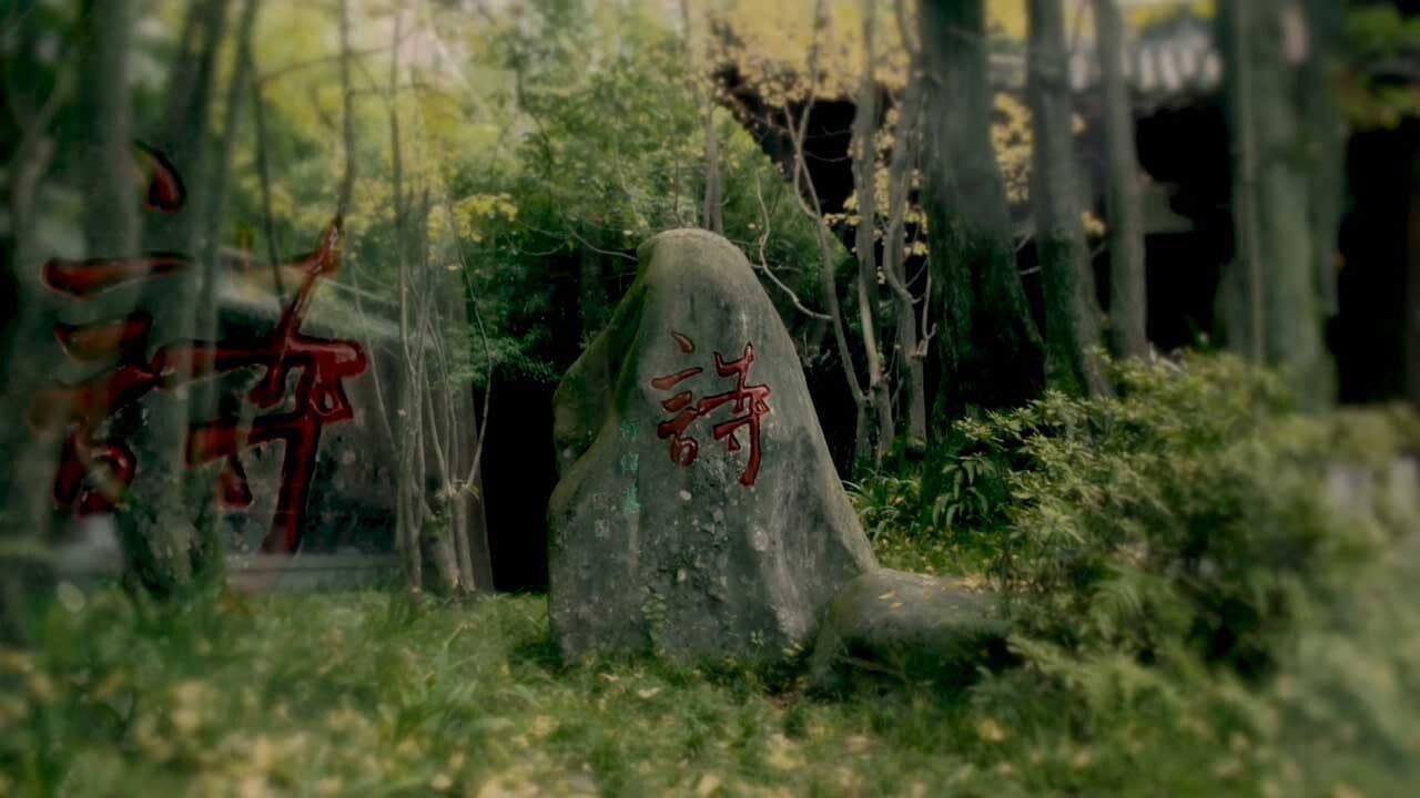 Timeless Legend backdrop