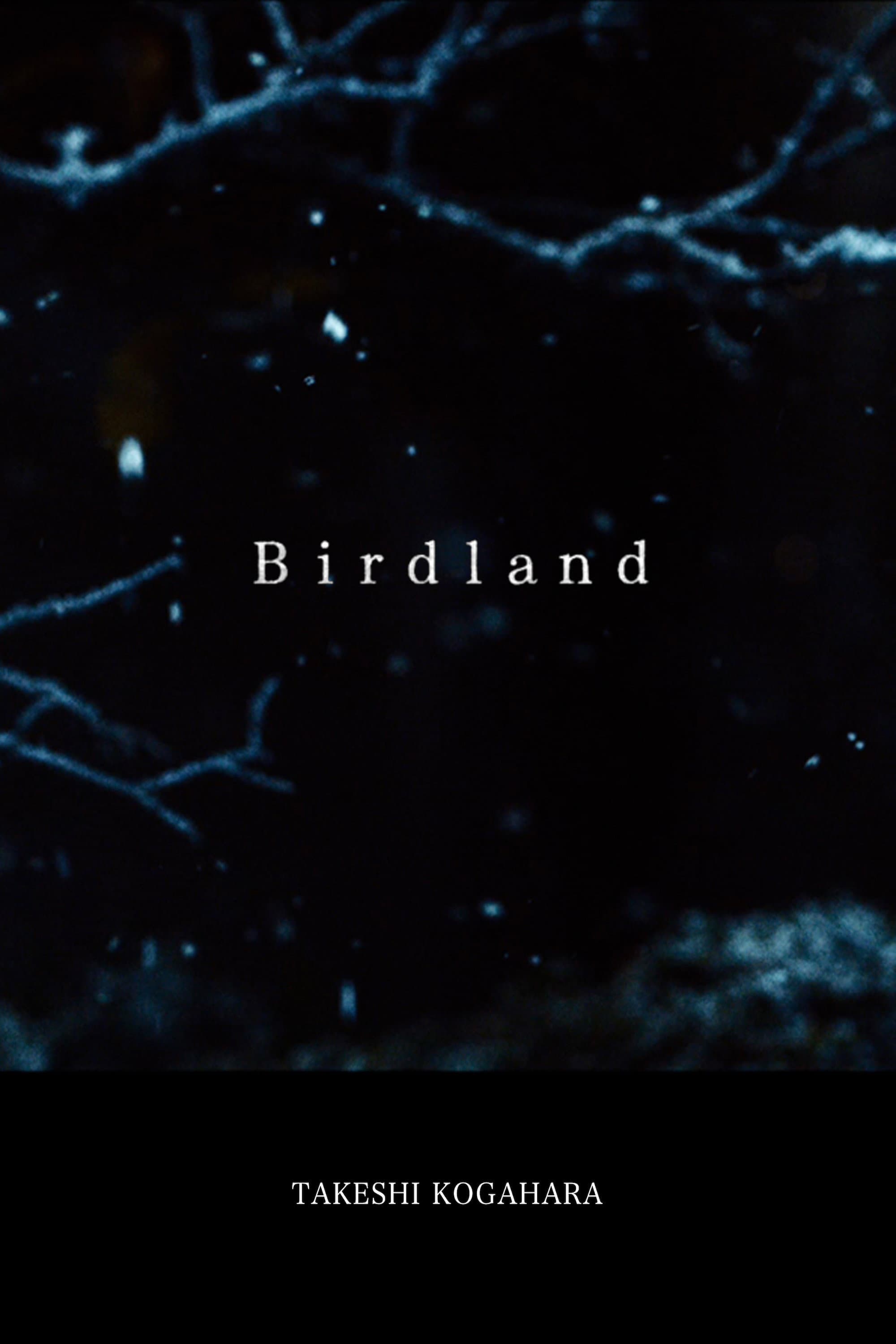 Birdland backdrop