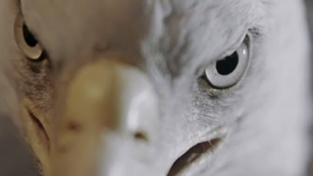 The Animal That Therefore I Am backdrop