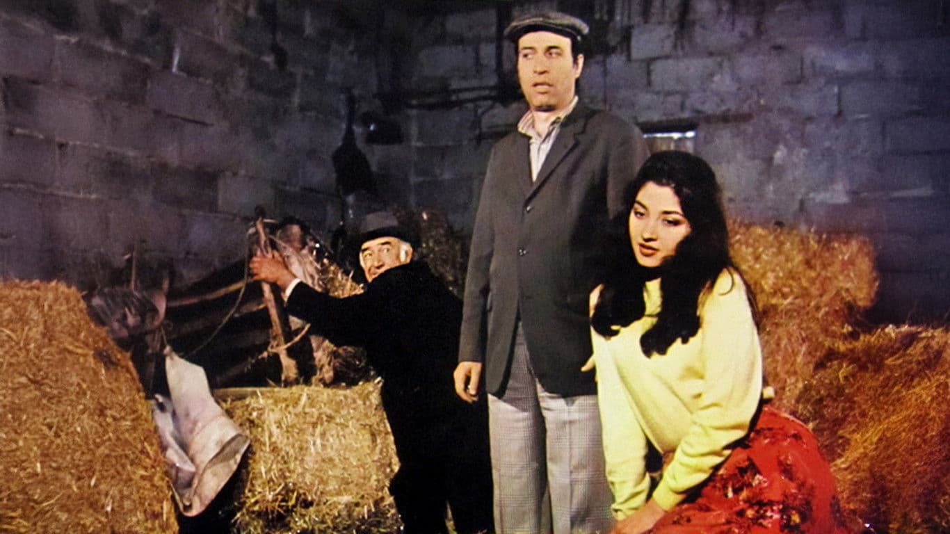Tokatçı backdrop