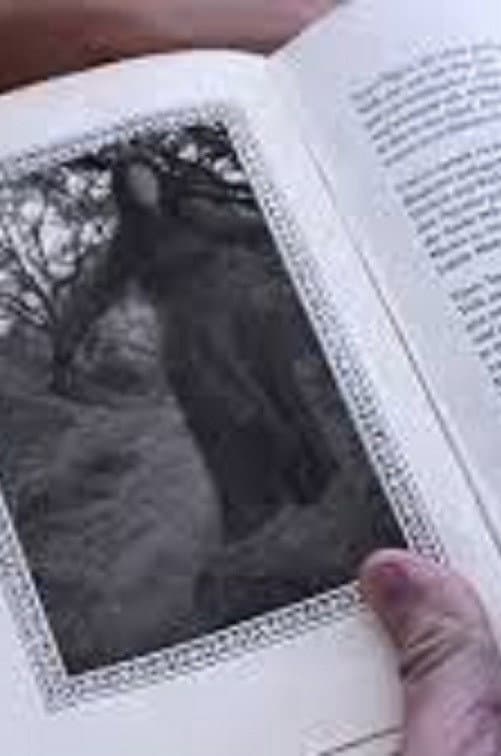 Woman in the Book backdrop