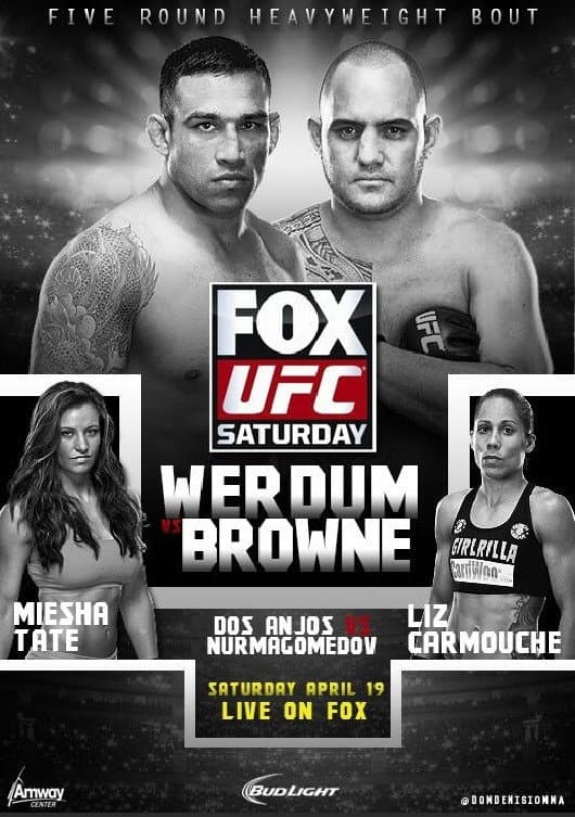 UFC on Fox 11: Werdum vs. Browne backdrop