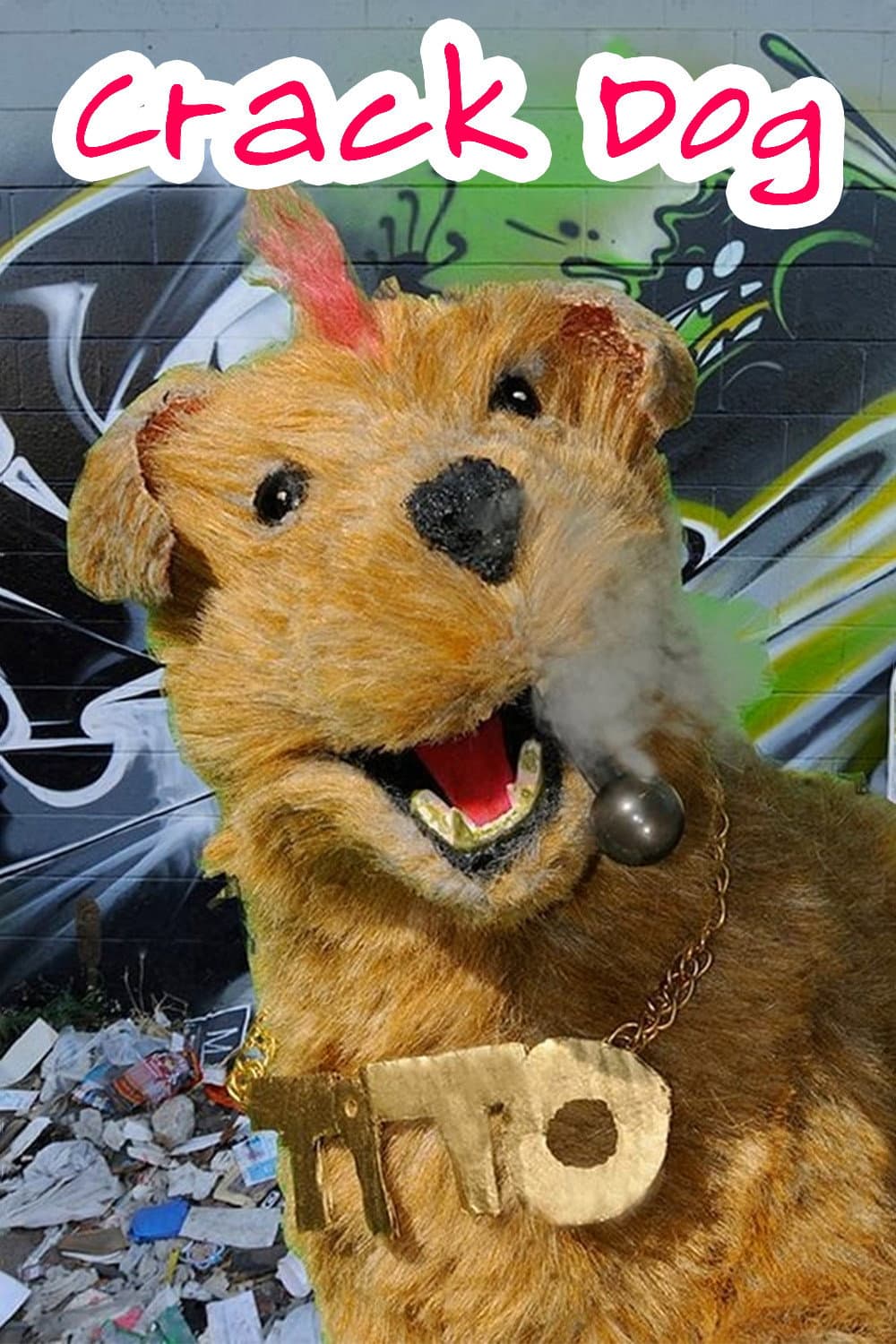 Crack Dog backdrop