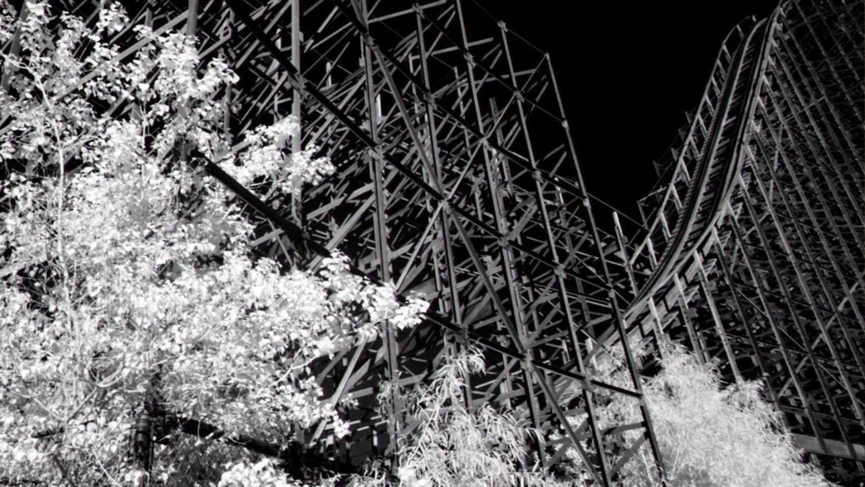 Visitors backdrop
