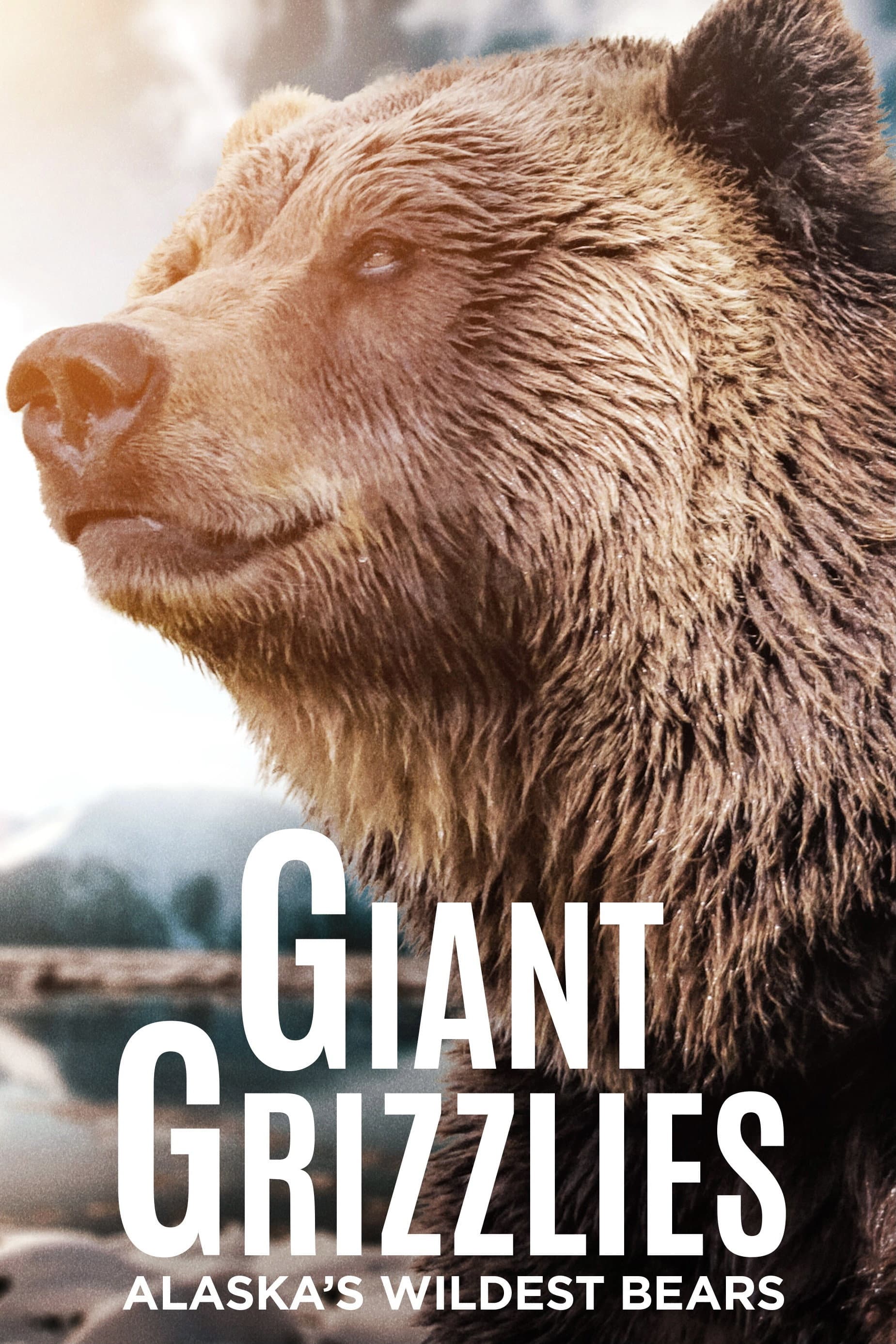 Giant Grizzlies backdrop
