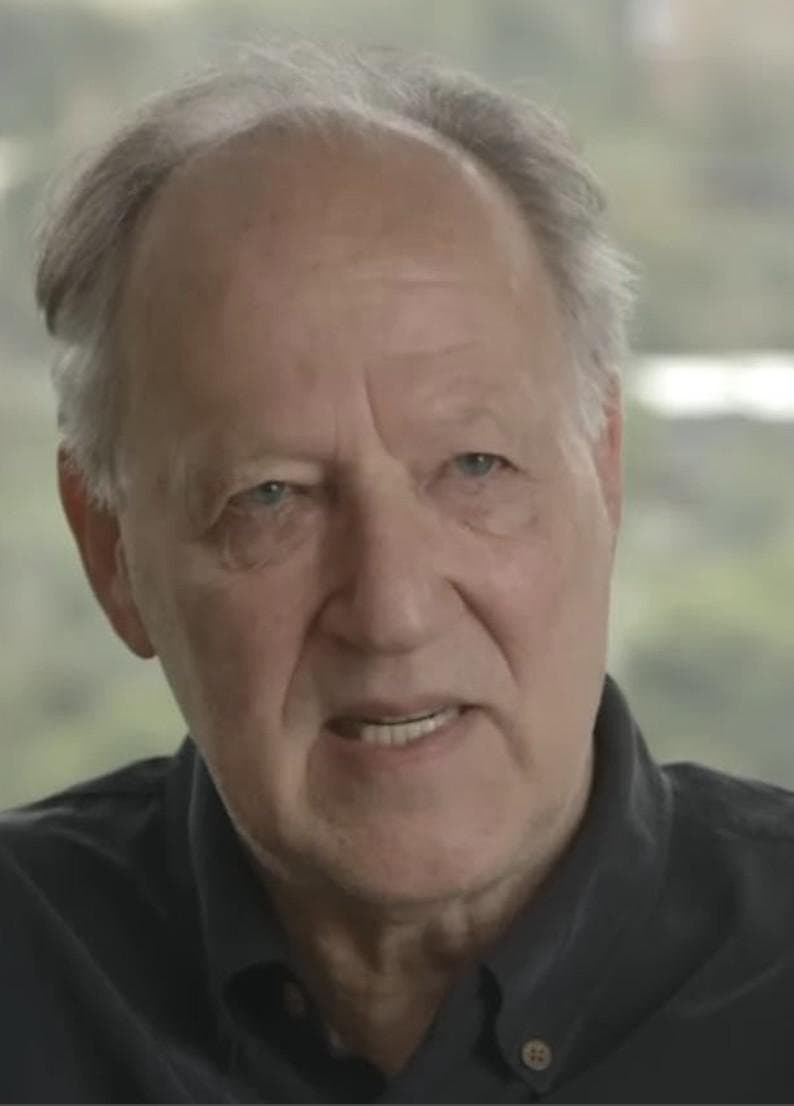 Werner Herzog and Errol Morris on 'The Act of Killing' backdrop