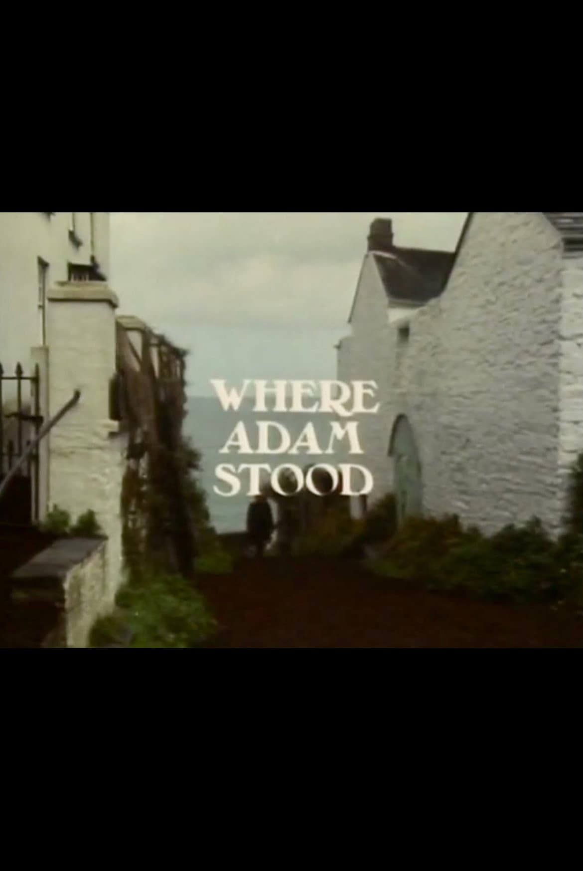 Where Adam Stood backdrop