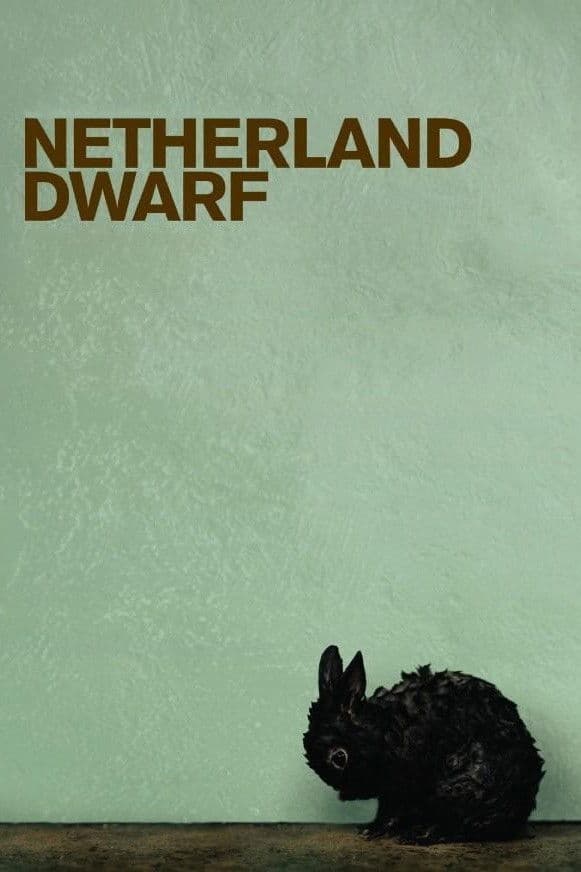 Netherland Dwarf backdrop
