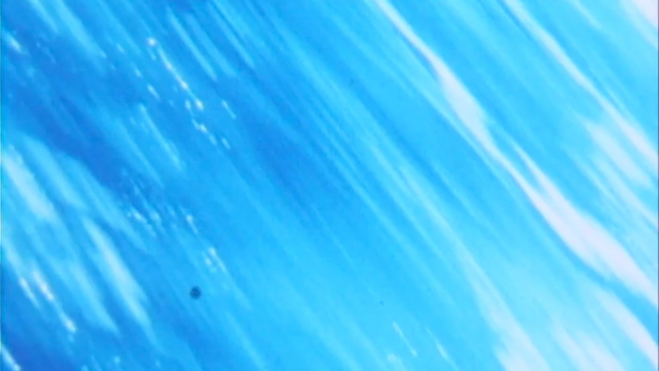 The Amazonian Angel backdrop