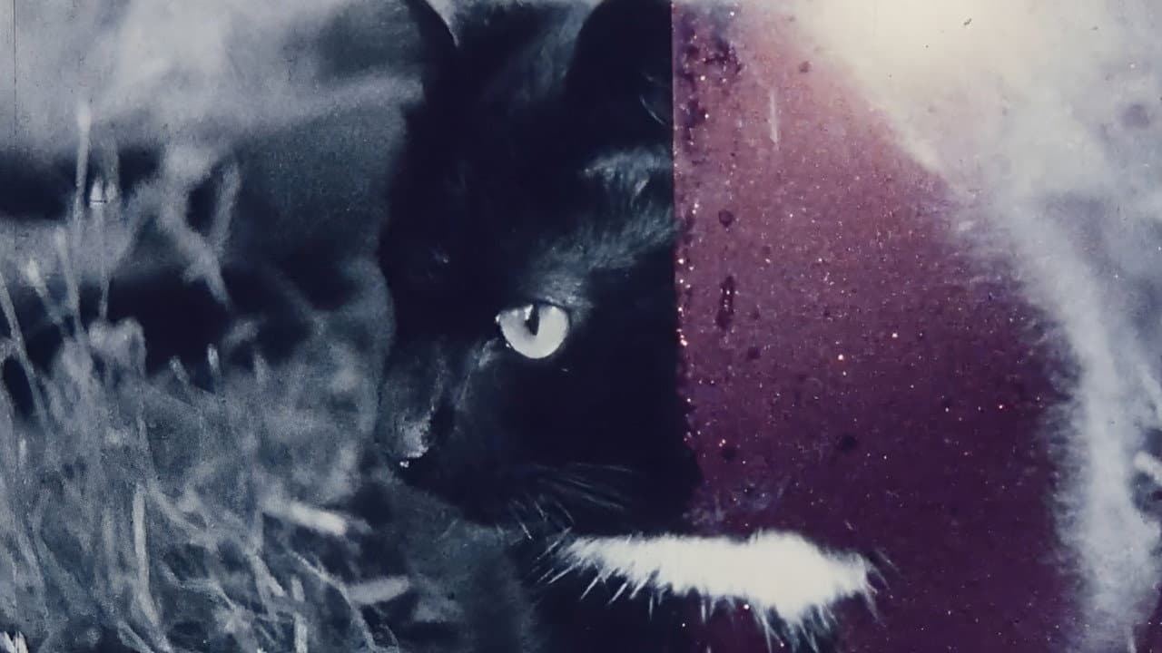 Winter Li backdrop
