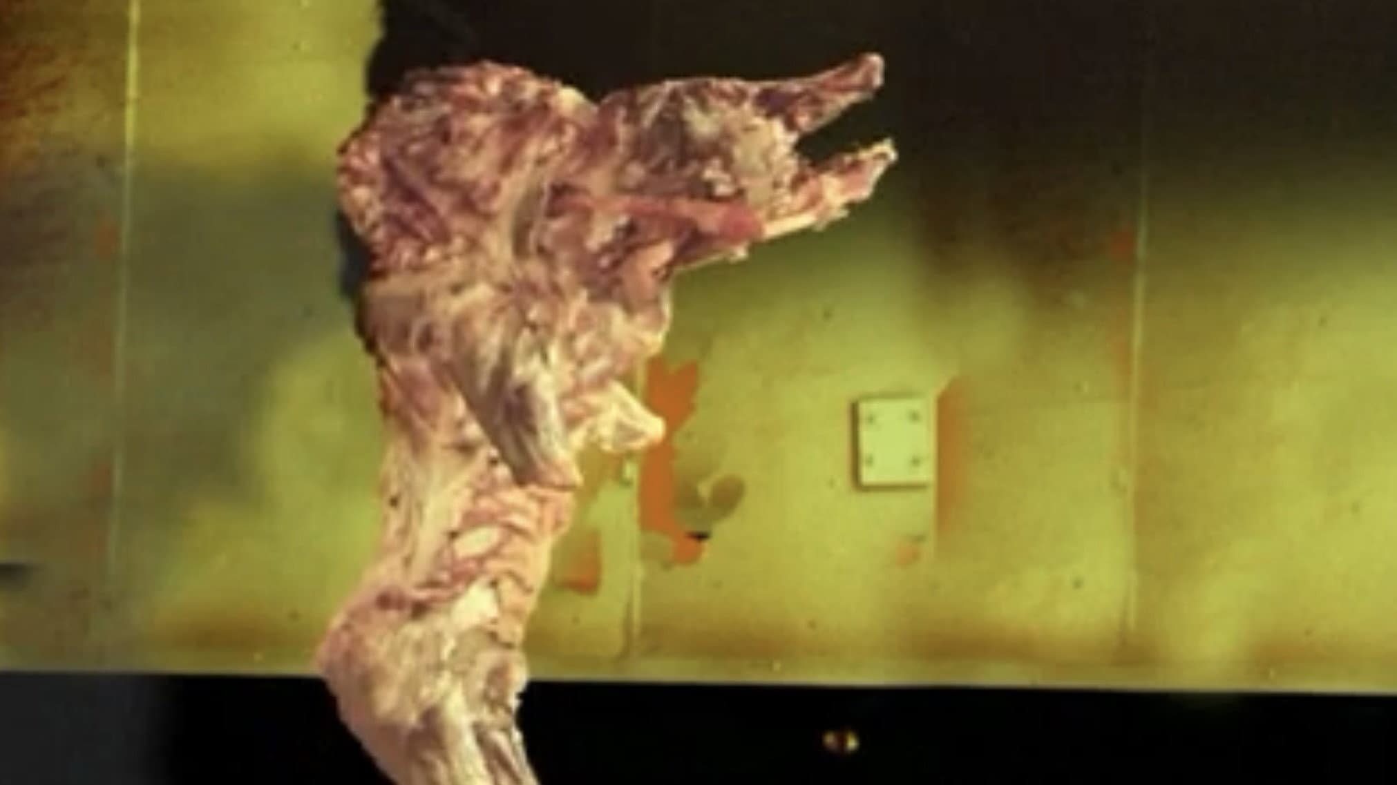 The Pig Walks backdrop