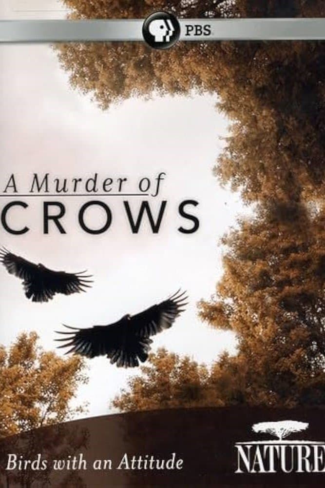 A Murder of Crows backdrop