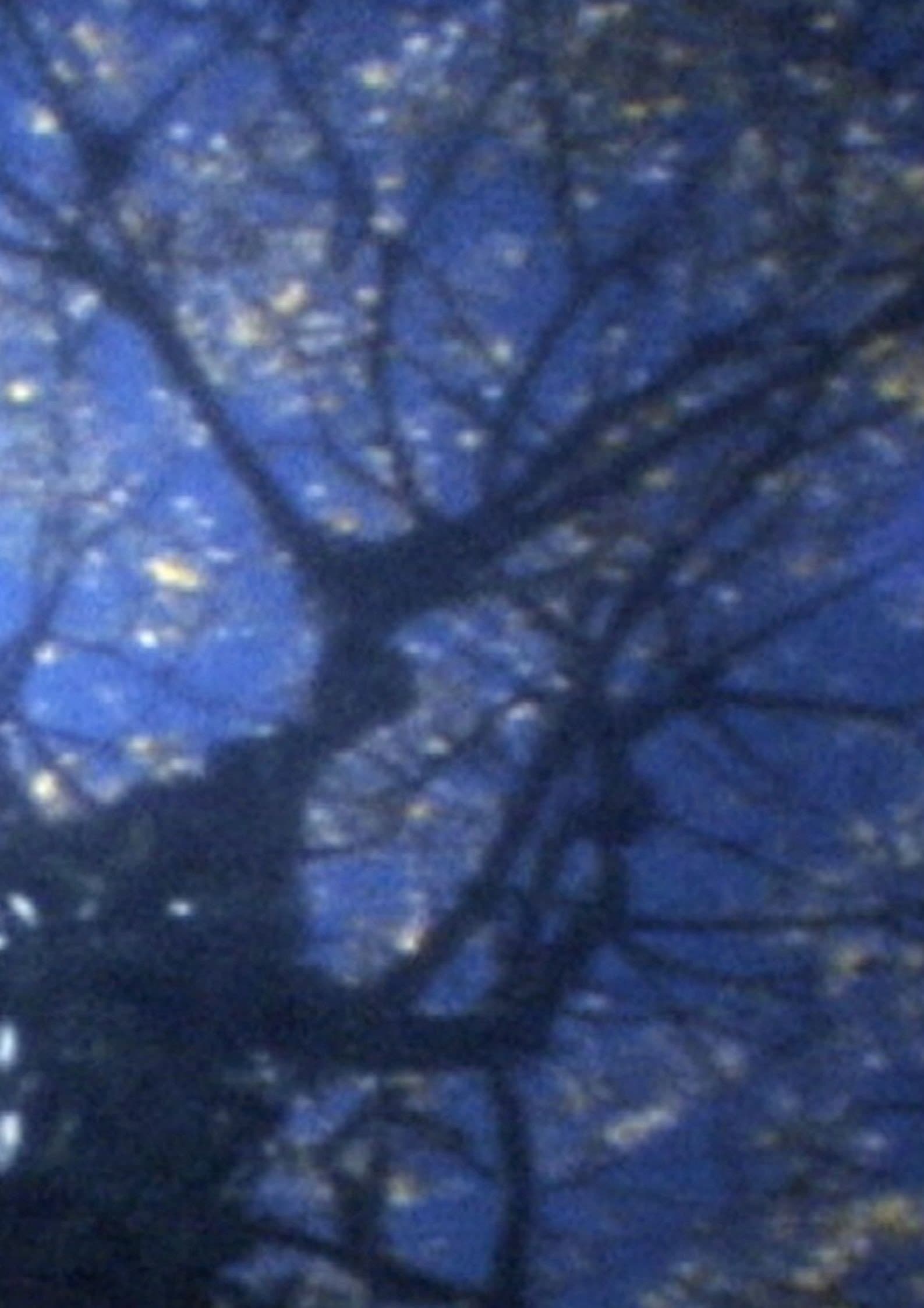 In September backdrop