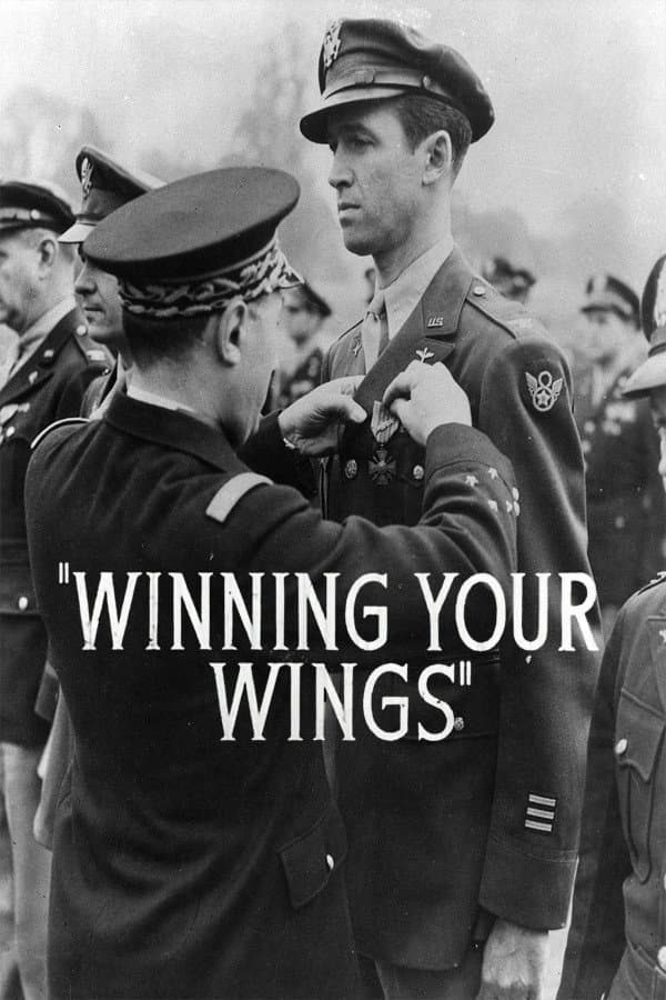 Winning Your Wings backdrop