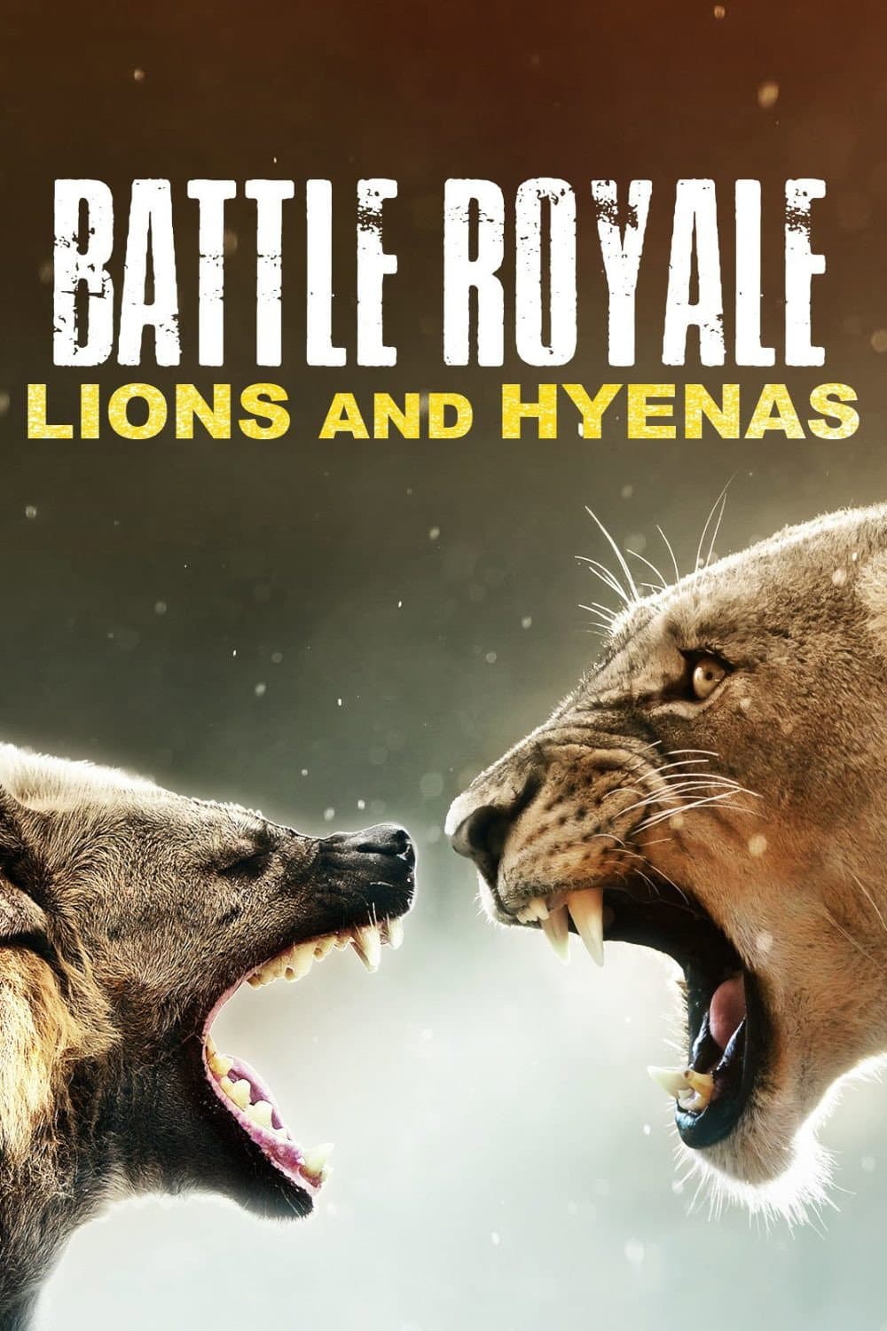 Battle Royale: Lions and Hyenas backdrop