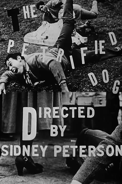 The Petrified Dog backdrop