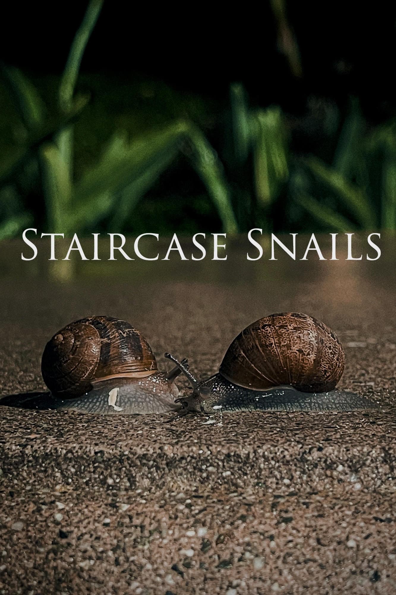 Staircase Snails backdrop