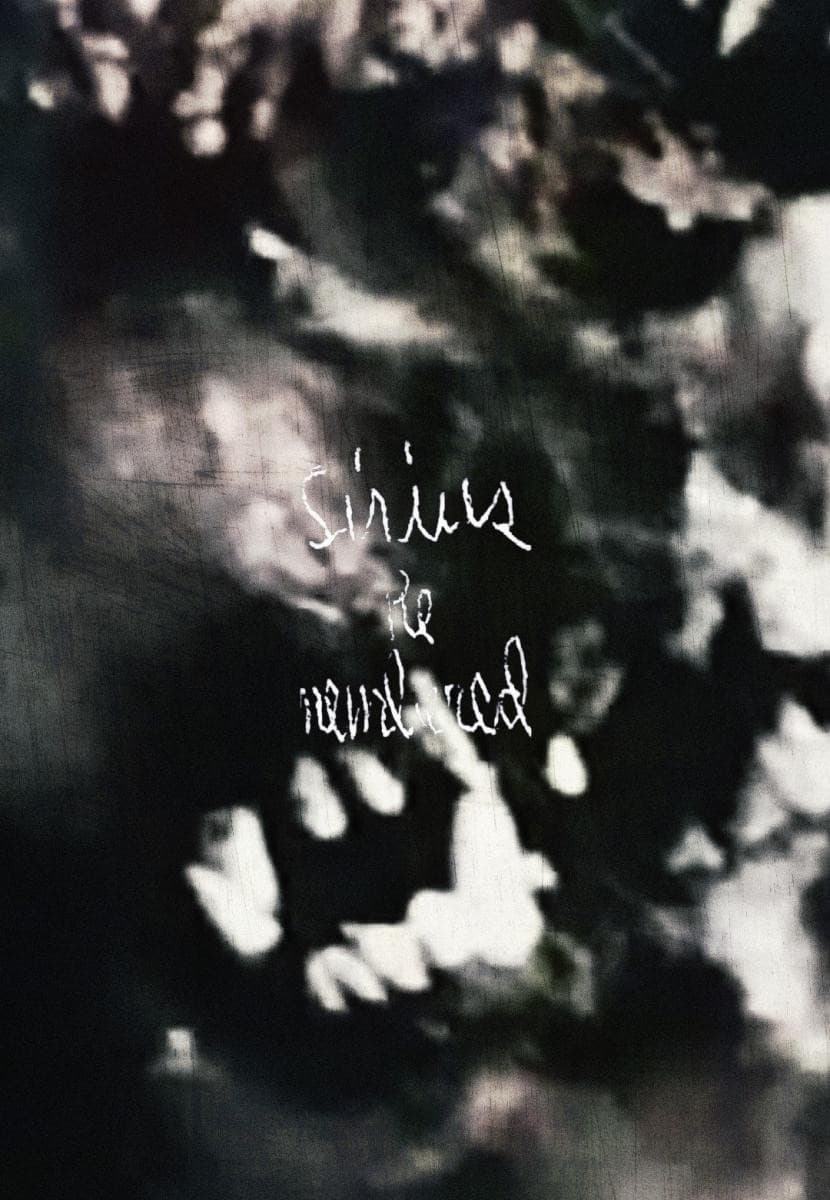 Sirius Remembered backdrop