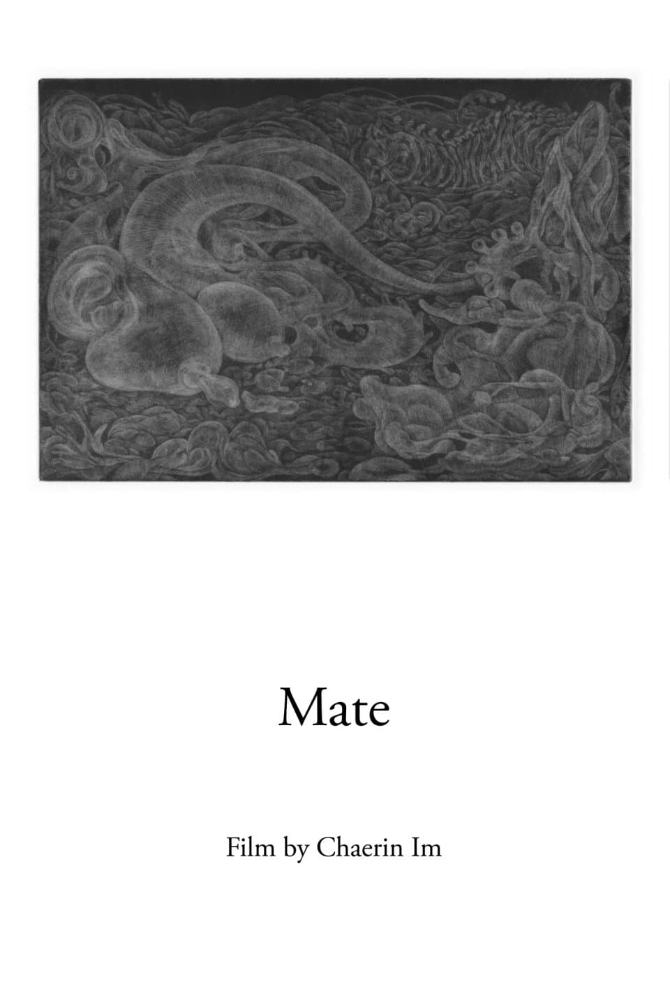 Mate backdrop