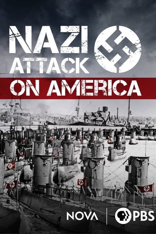 Nazi Attack on America backdrop