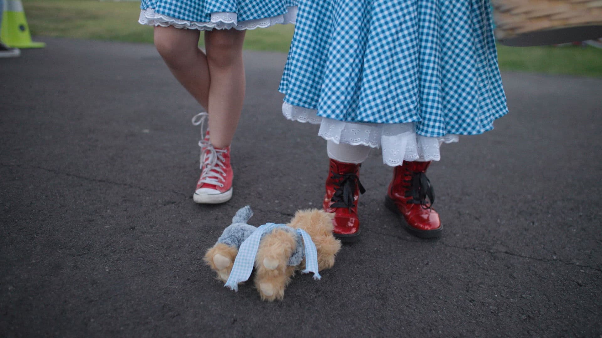It's Dorothy! backdrop