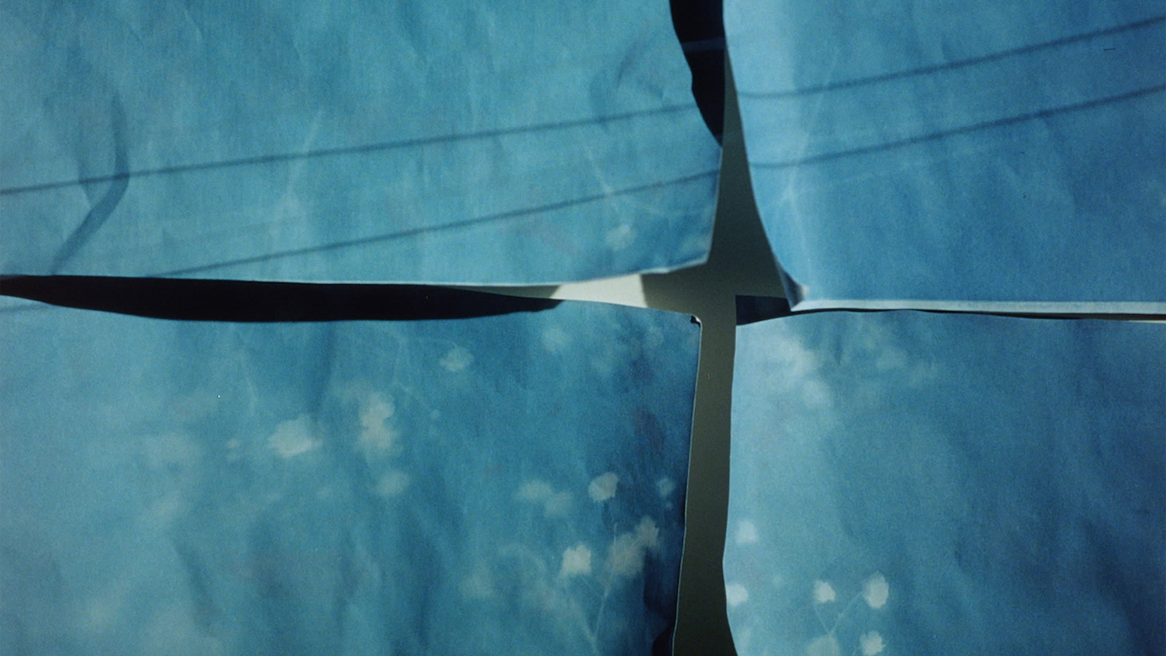 Transcript backdrop